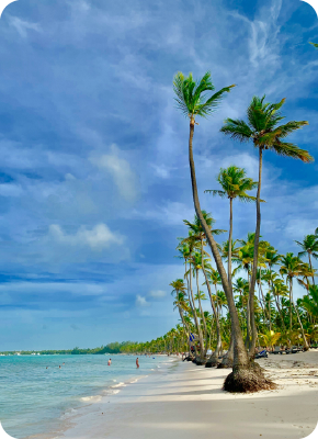 mesa de a1 mesa de a1