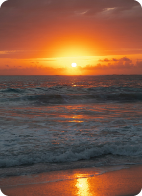 mesa de trabajo 1 mesa de trabajo 1